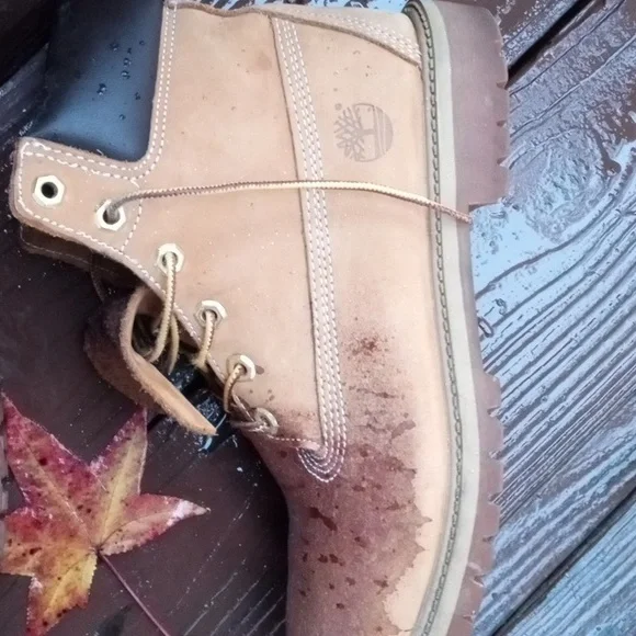 Timberland - Picture 3 of 8